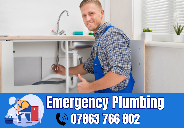  plumber Sankey Bridges