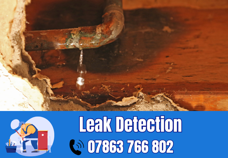 leak detection Warrington